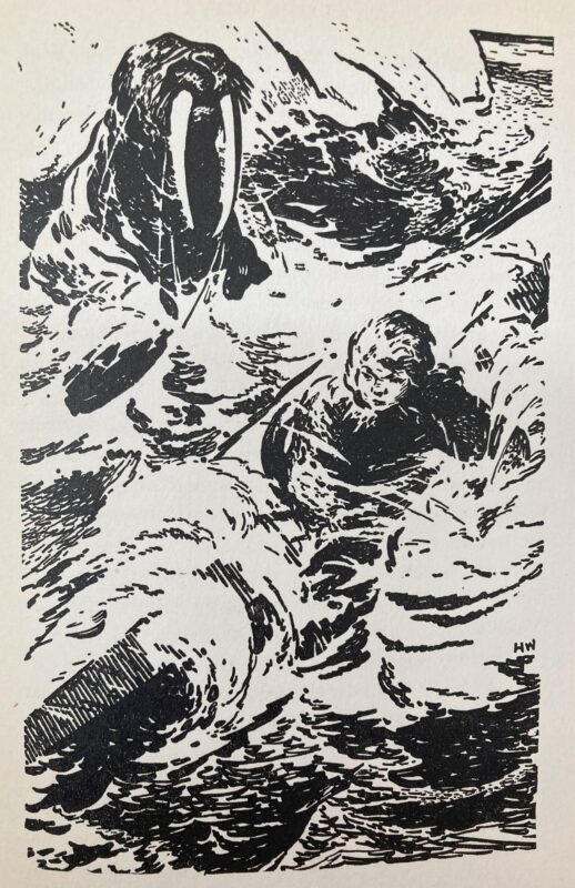 Black and white sketch of a man paddling a canoe through icy waters next to a sea lion.