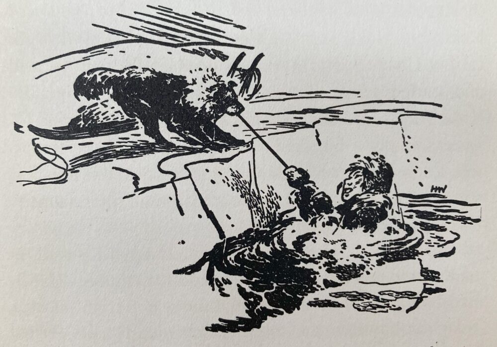 Black and white sketch showing a man in icy water, hanging on to a rope that is being pulled out by his dog.