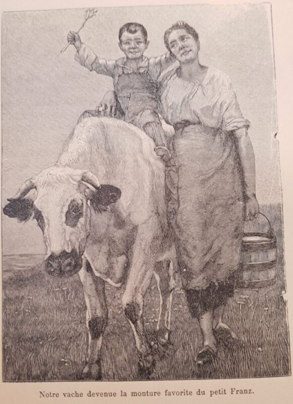 The image shows a boy riding a cow next to a woman. 