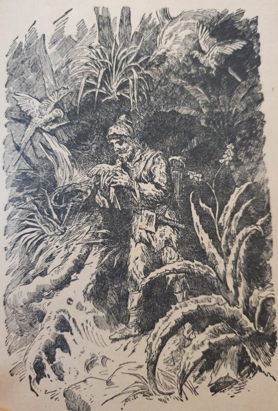 Print showing Robinson with his parrott and another bird.