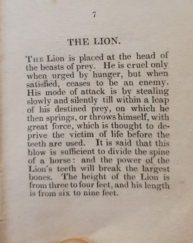 Text about lions from The Little Book of Foreign Animals (1840).