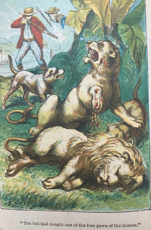 The image shows the farther, Robinson, and a son in the act of shooting and killing some lions.